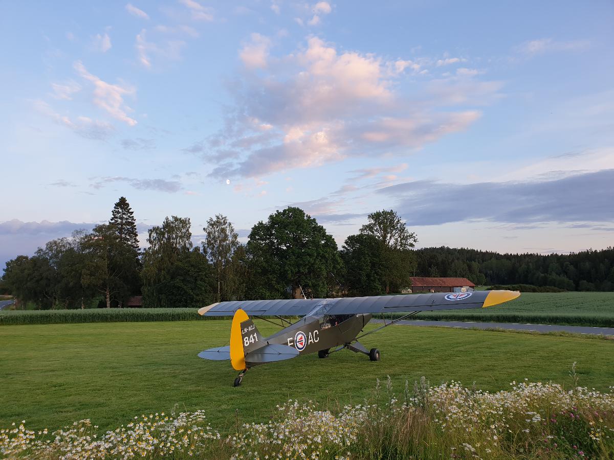 2019-07-12 22.04.31.jpg